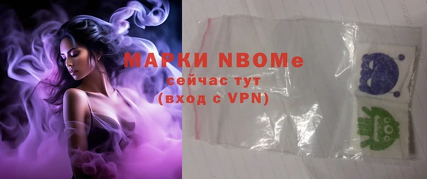 винт Няндома