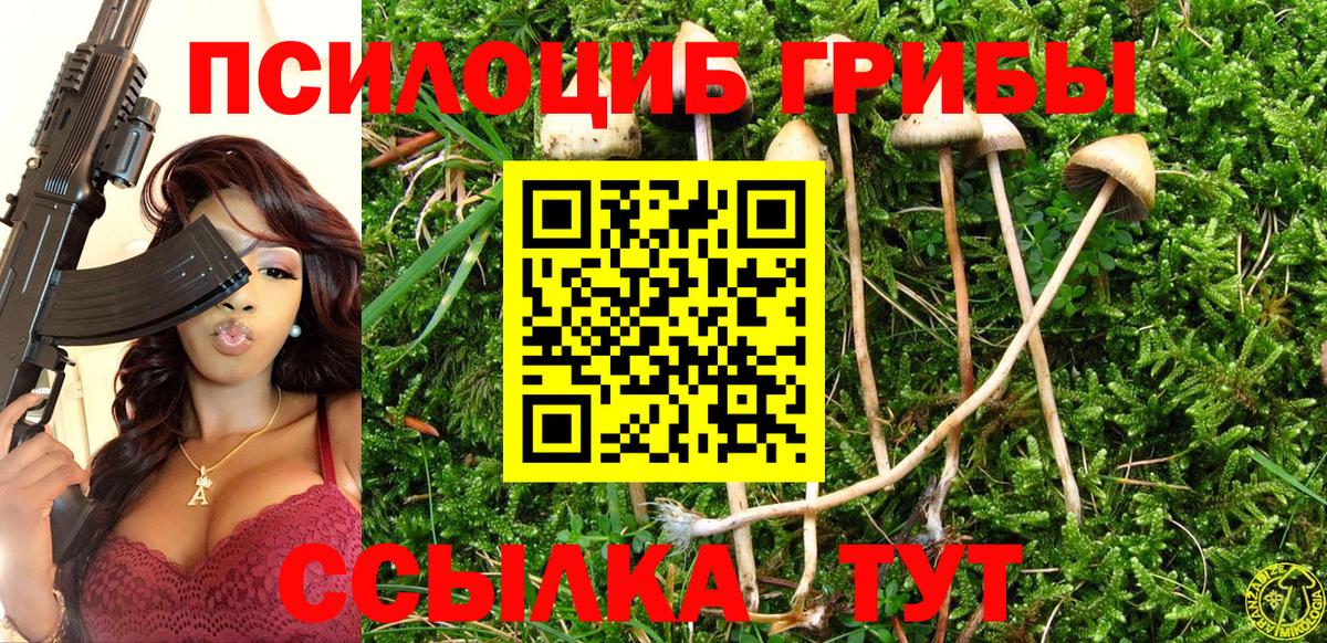 Псилоцибиновые грибы MAGIC MUSHROOMS Печора