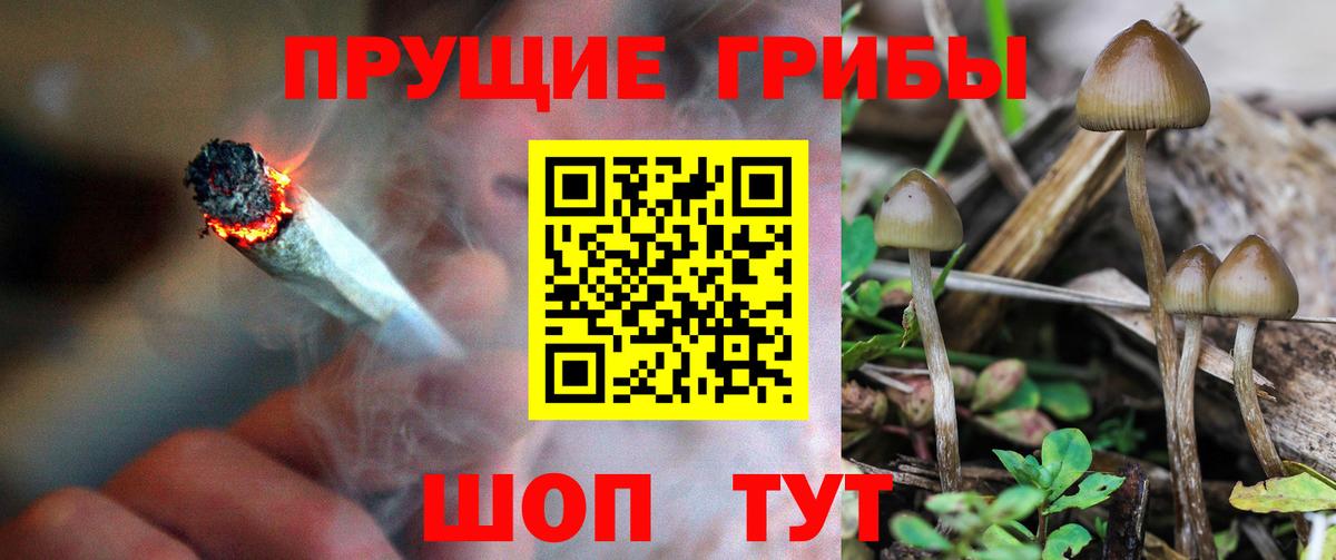 Псилоцибиновые грибы Psilocybe  Вход с VPN  купить   Печора 